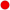 WX circle red 3